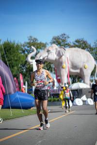 BIB: 
                            <button type="button" onclick="openModal(26543491)" class="btn btn-primary btn-sm float-right btn-popup" data-toggle="modal" data-target=".modal-high-quality">
                        <i class="fas fa-shopping-cart"></i> Add to Cart
                    </button>
                                            <button type="button" onclick="isThisMe(26543491, true)" class="btn btn-success btn-sm float-right btn-popup btn-isme hidden" data-toggle="tooltip" data-placement="bottom" title="นี่คือรูปของคุณใช่ไหม คลิกที่นี่เพื่อเอาเข้าอัลบั้ม">
                        <i class="fas fa-plus"></i> Add to album
                    </button>
                    <button type="button" onclick="isThisMe(26543491, false)" class="btn btn-warning btn-sm float-right btn-popup btn-isnotme hidden">
                        <i class="fas fa-ban"></i> Remove from album
                    </button>